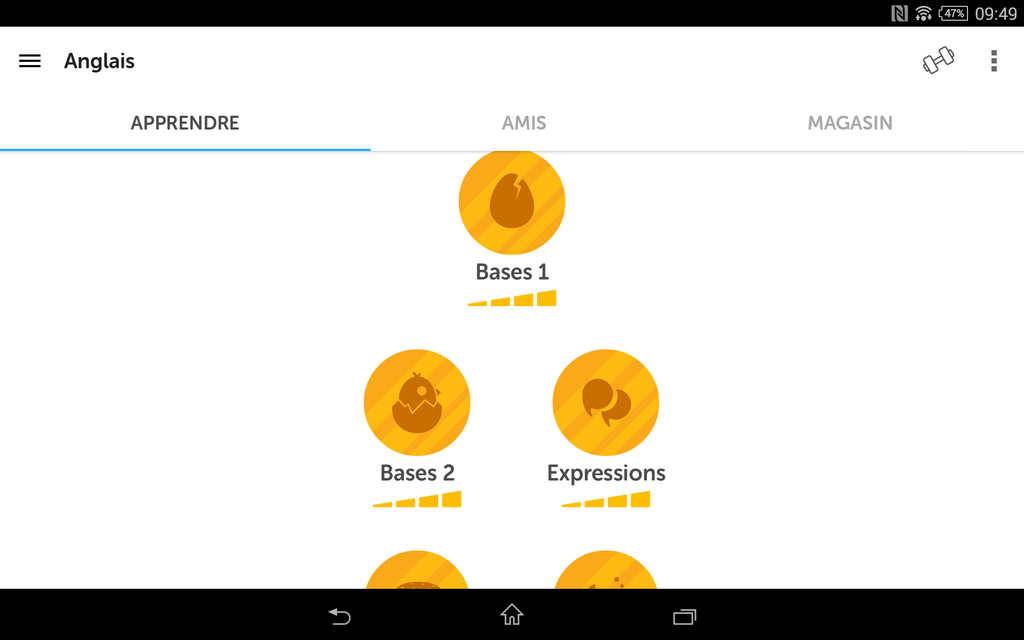 Unités d'apprentissage Duolingo